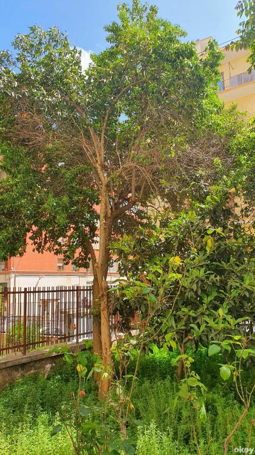 Star House - Bari Centro Apartment Exterior foto